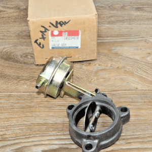 GM 5234810 Valve & Actuator Assembly Efe 1985-1990 Chevrolet GMC 454 7.4L